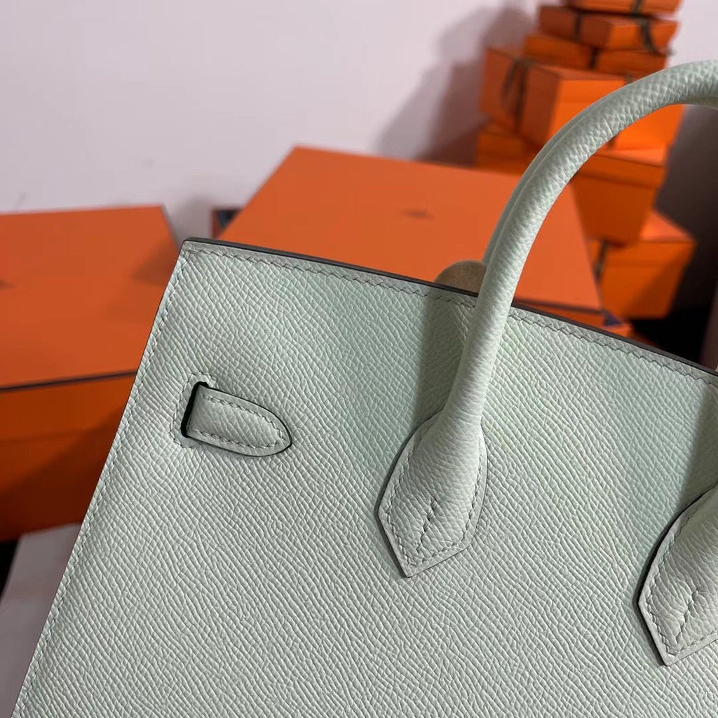 Birkin 25 Sellier Vert Fizz Epsom Silver Hardware