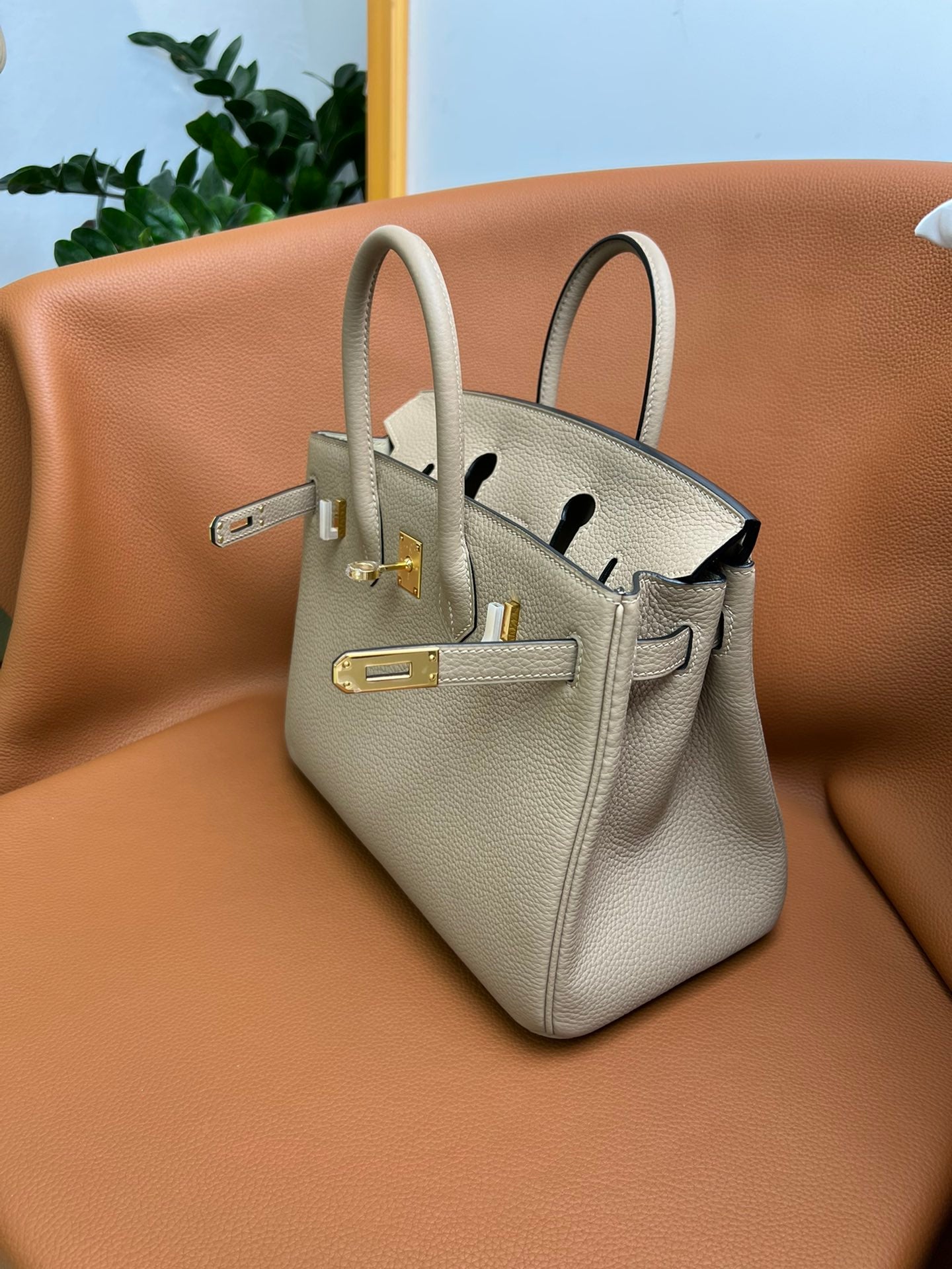 Birkin 25 Retourne in Trench Togo Leather (Gold Hardware)