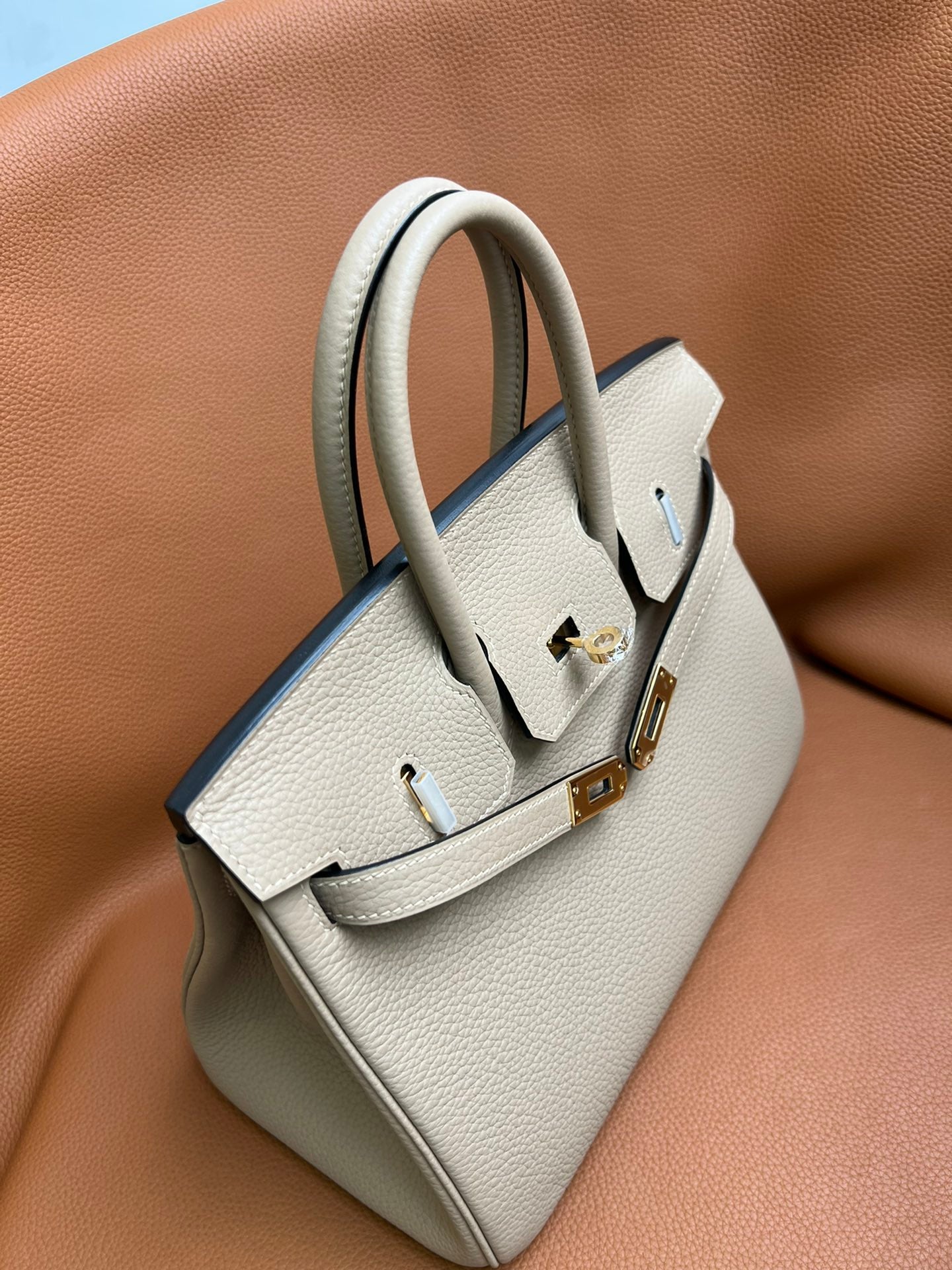 Birkin 25 Retourne in Trench Togo Leather (Gold Hardware)
