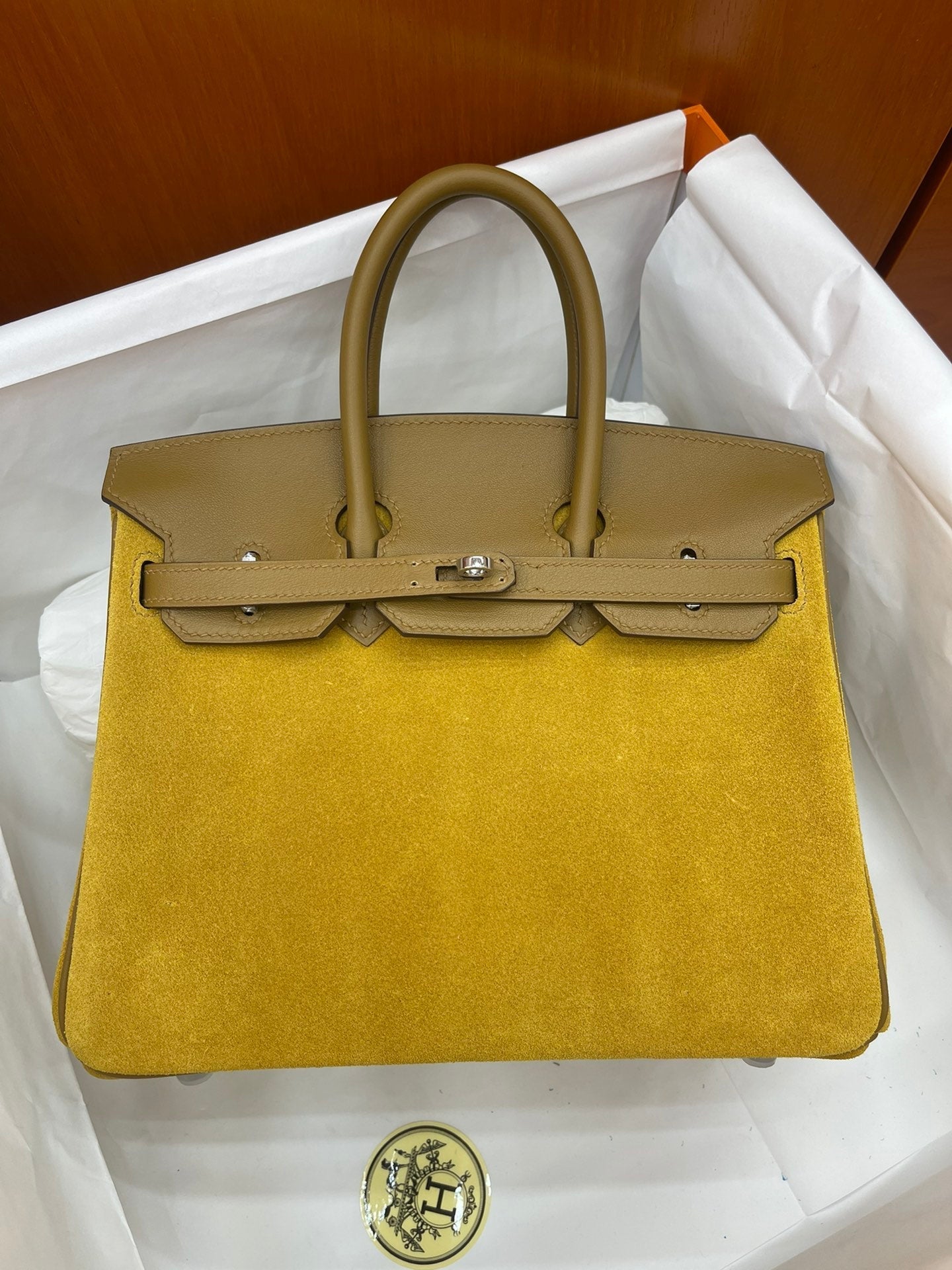 Mini Birkin 25cm Grizzly Edition in Weimaraner Beige & Suede (Silver Hardware)