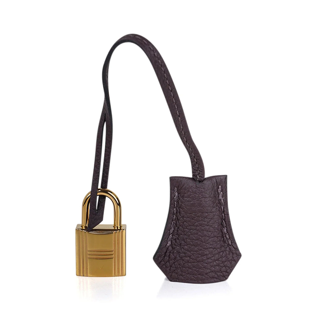 Birkin 25 Bag Chocolat Gold Hardware Togo Leather