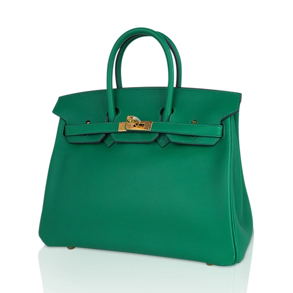 Birkin 25 Bag in Cactus Swift Leather with Gold Hardware