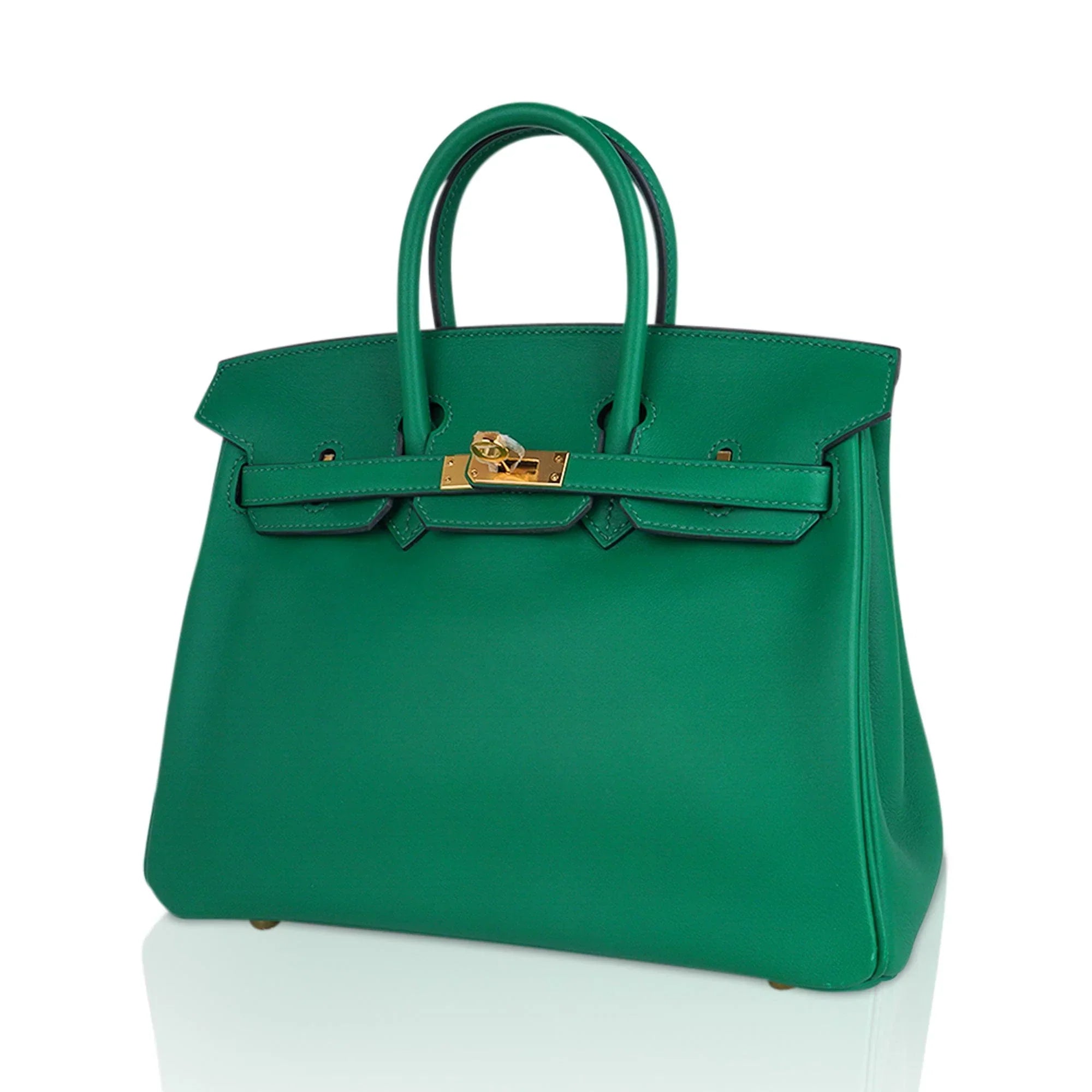 Birkin 25 Bag in Cactus Swift Leather with Gold Hardware