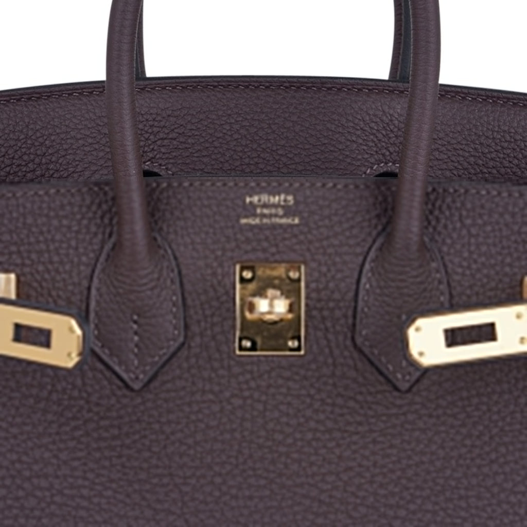 Birkin 25 Bag Chocolat Gold Hardware Togo Leather
