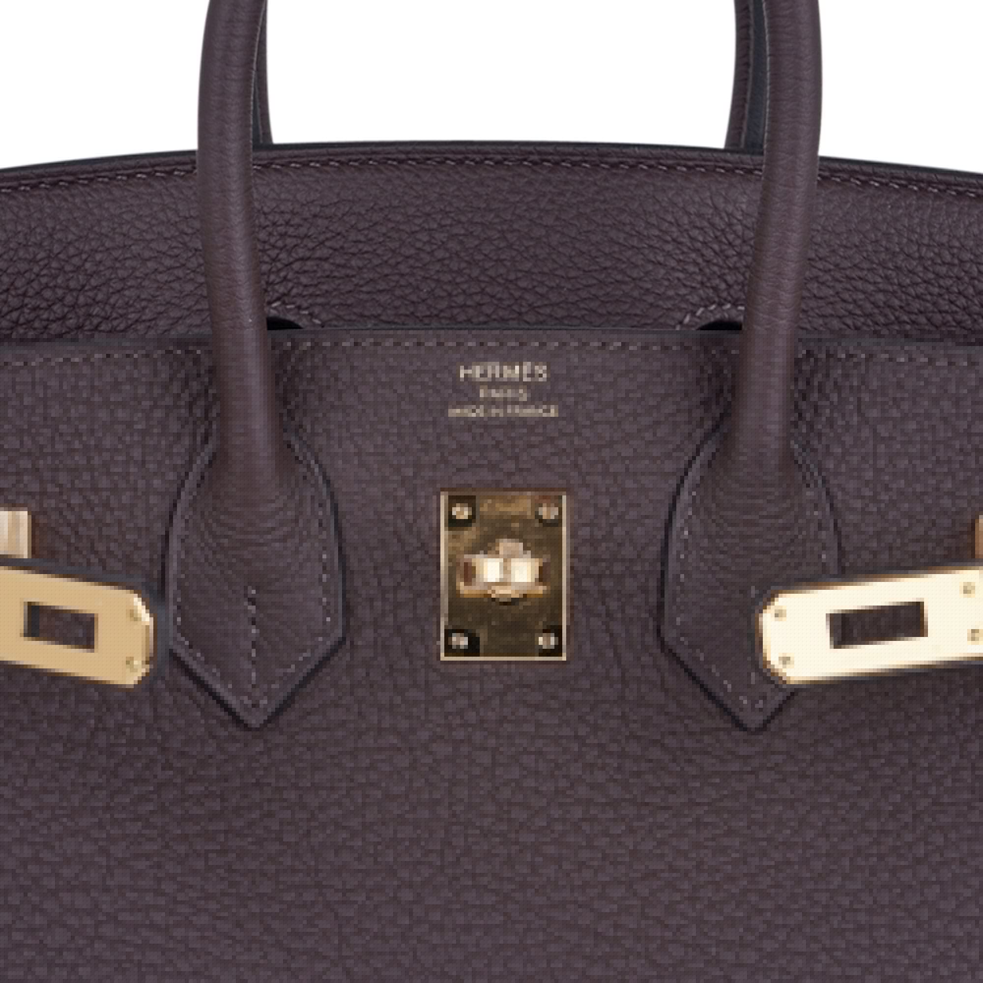 Birkin 25 Bag Chocolat Gold Hardware Togo Leather