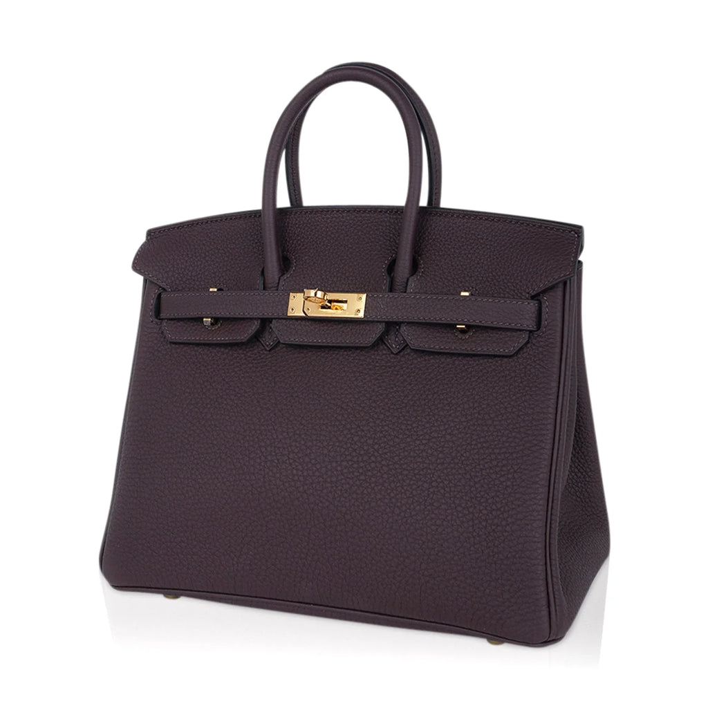 Birkin 25 Bag Chocolat Gold Hardware Togo Leather