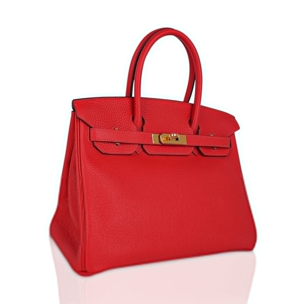 Birkin 30 Capucine Bag Togo Leather Gold Hardware