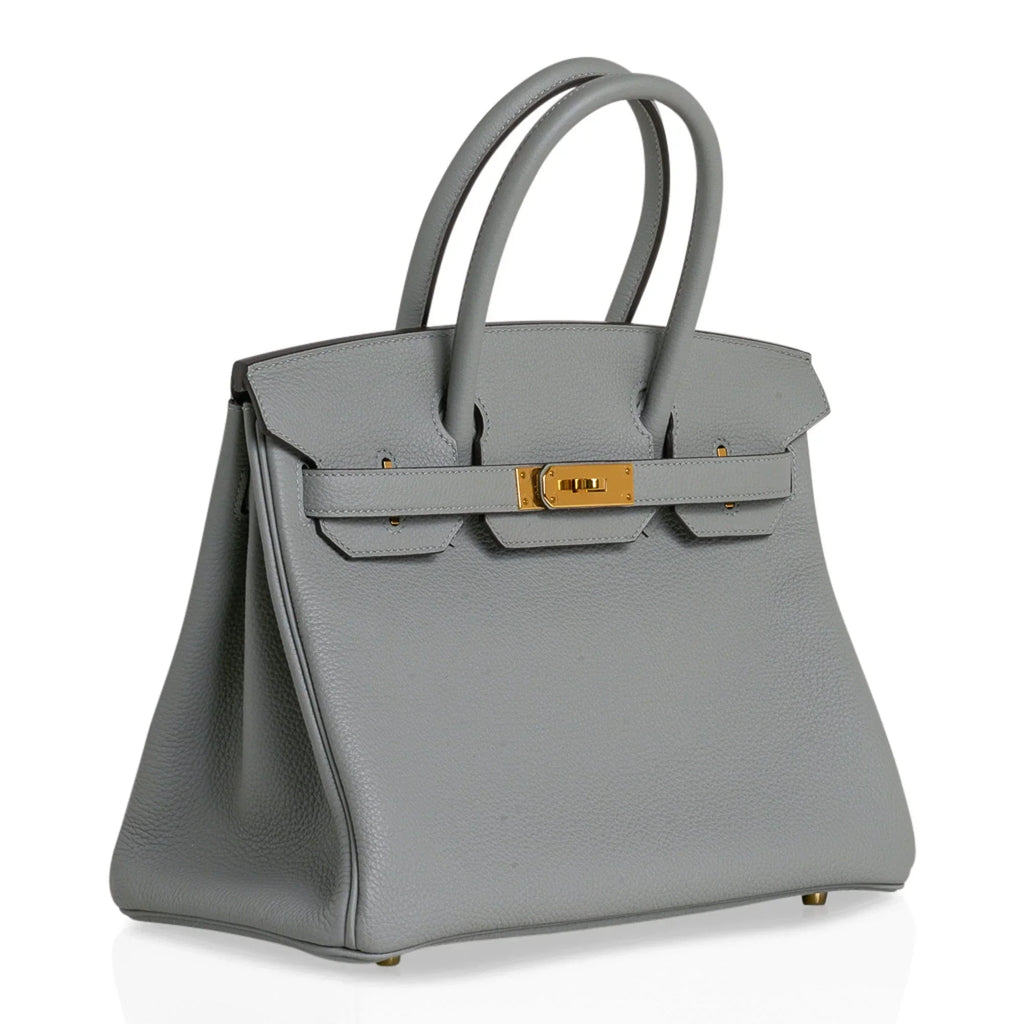 Birkin 30 Bag Gris Mouette Gold Hardware Togo Leather