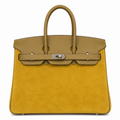 Mini Birkin 25cm Grizzly Edition in Weimaraner Beige & Suede (Silver Hardware)