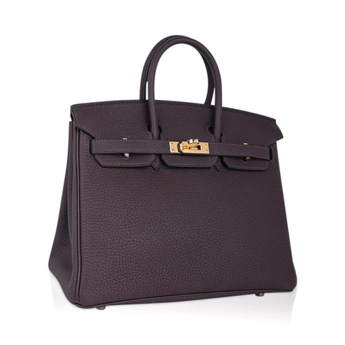 Birkin 25 Bag Chocolat Gold Hardware Togo Leather