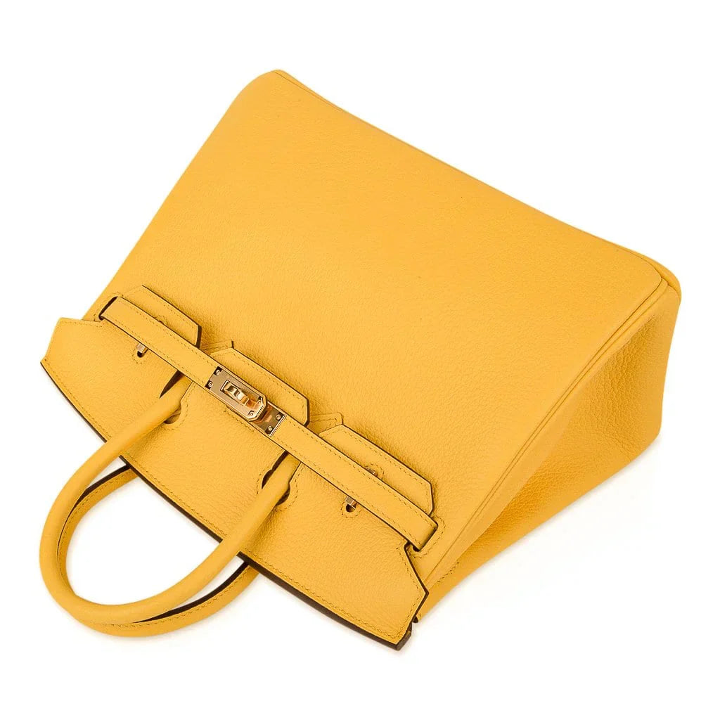 Birkin 25 Bag Jaune de Naples Novillo Gold Hardware