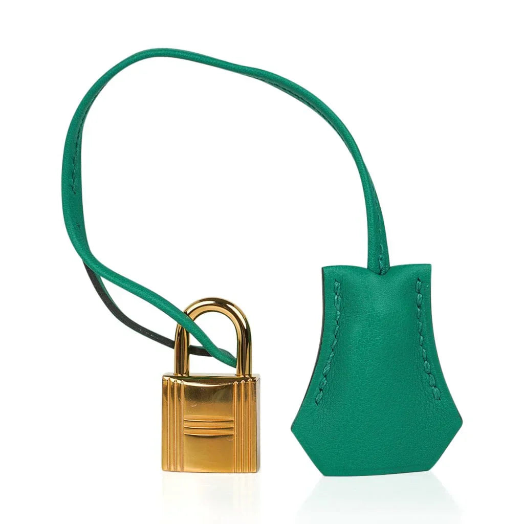Birkin 25 Bag Vert Vertigo Swift Gold Hardware