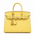 Birkin Style 25/30 Sellier in Lime Epsom Leather (Gold Hardware)