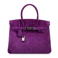 Birkin 30 Bag Rare Doblis Violet Palladium Hardware