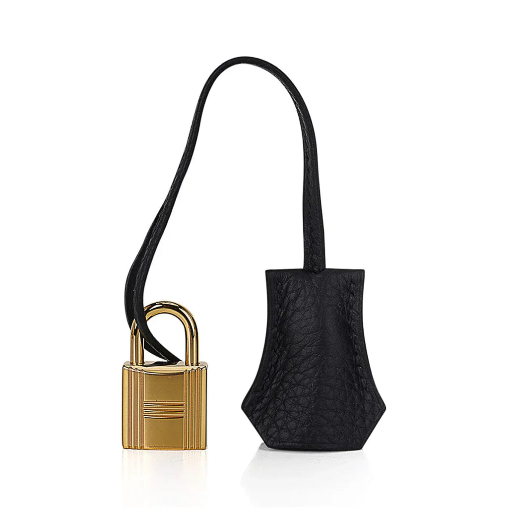 Birkin 25 Bag Black Togo Leather with Gold Hardware