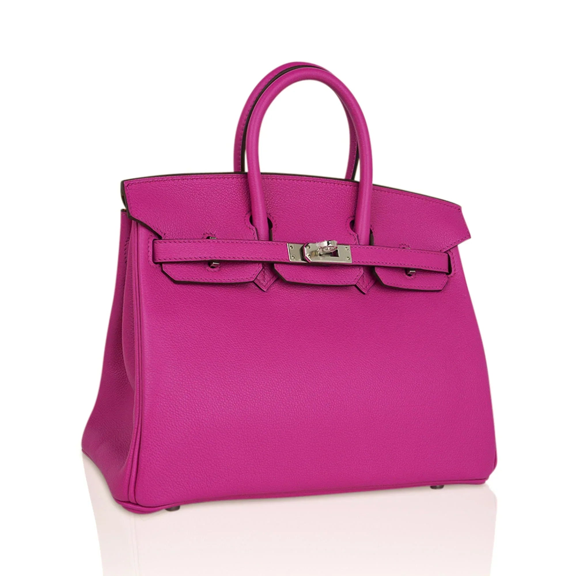 Verso Birkin 25 Bag Magnolia Capucine Togo Leather with Palladium Hardware
