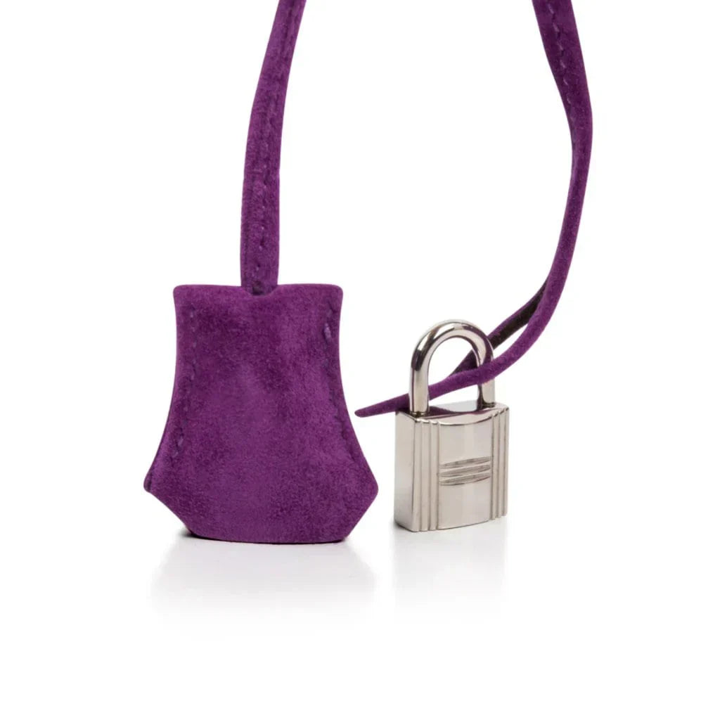 Birkin 30 Bag Rare Doblis Violet Palladium Hardware