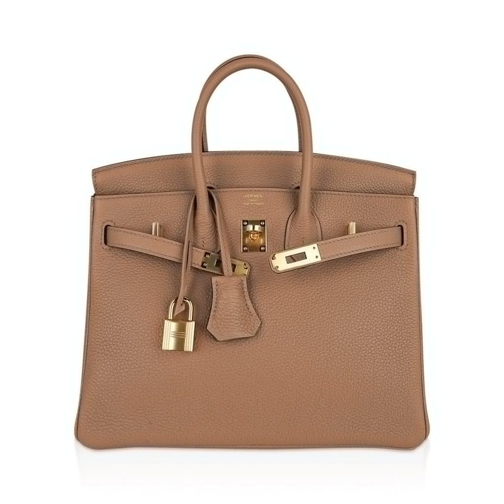 Birkin 25 Bag in Chai Togo Leather with Gold Hardware