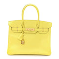 Birkin25 Sellier Jaune Milton Veau Epsom Silver Handbag