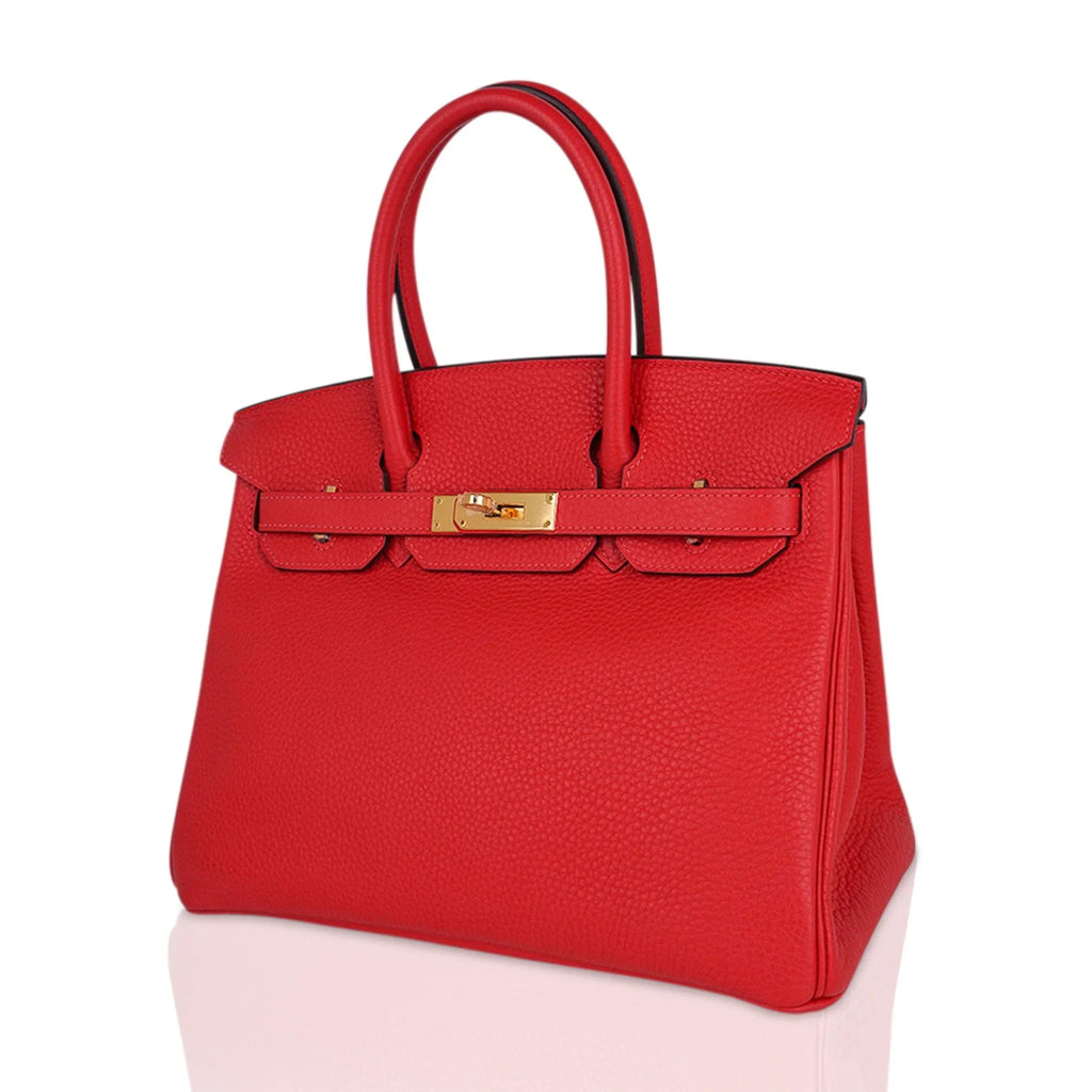 Birkin 30 Capucine Bag Togo Leather Gold Hardware