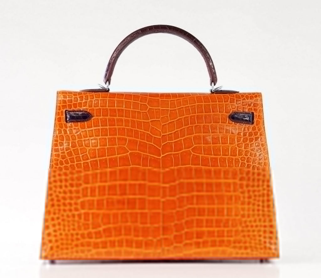 Kelly 35 Bag Tri Color Horseshoe Porosus Crocodile Palladium