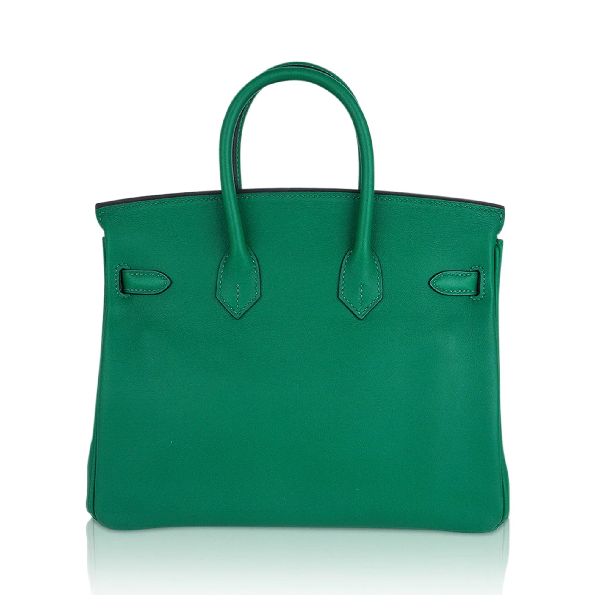 Birkin 25 Bag in Cactus Swift Leather with Gold Hardware