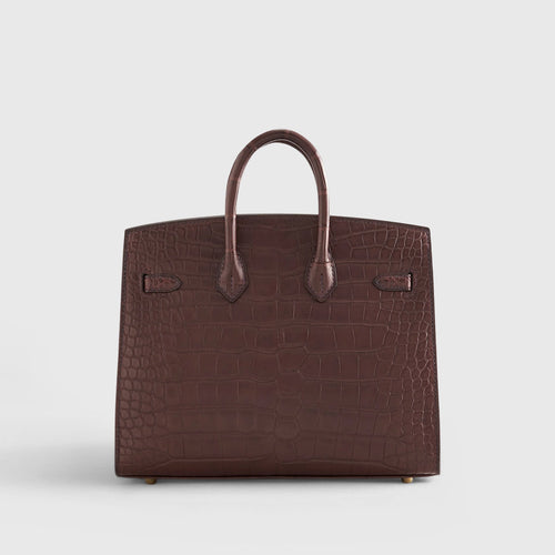 Birkin 20 Alligator Havane Gold Hardware Matte
