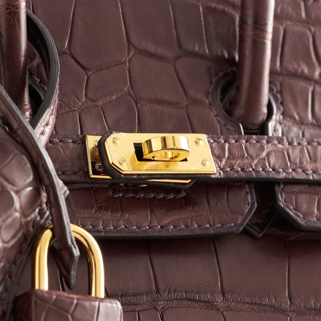 Birkin 20 Alligator Havane Gold Hardware Matte
