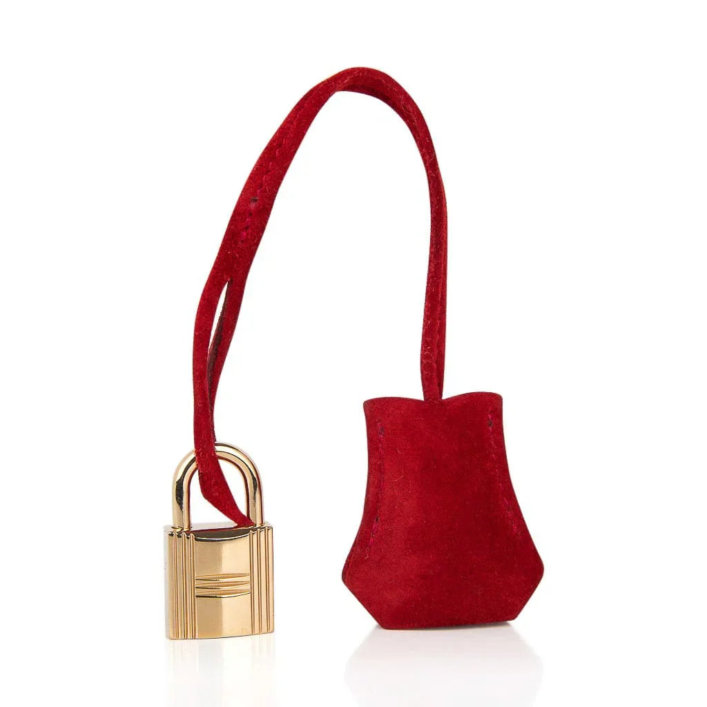 Birkin 25 Doblis Bag Rouge Vif Suede Gold Hardware