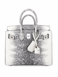 Mini Birkin 20cm Outer Stitching Tote Bag in Two-Tone Snow White Lizard Pattern