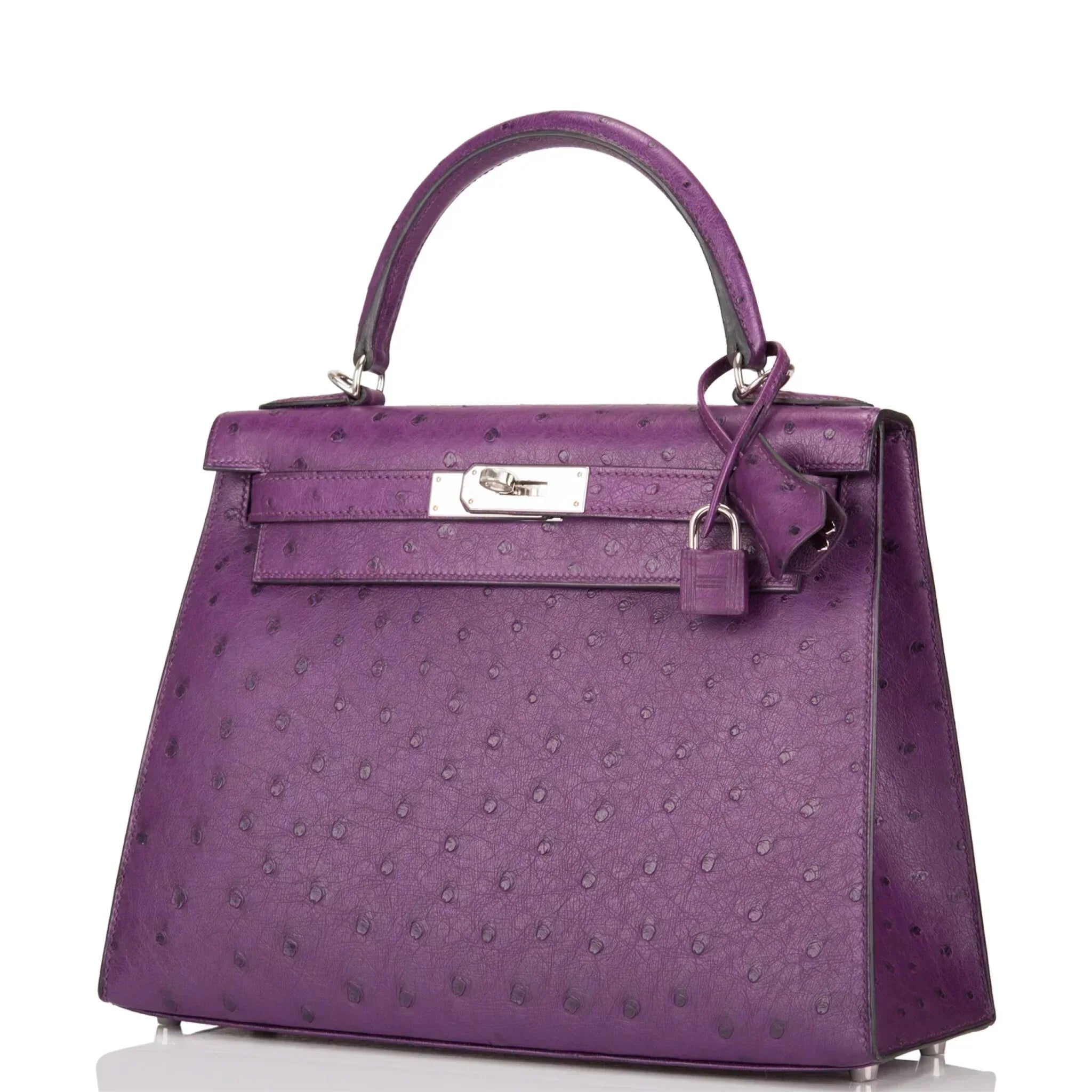 Kelly Violine Sellier Ostrich with Palladium Hardware