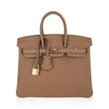 Birkin 25 Bag in Chai Togo Leather with Gold Hardware