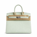 Birkin 25 Sellier Vert Fizz Epsom Silver Hardware