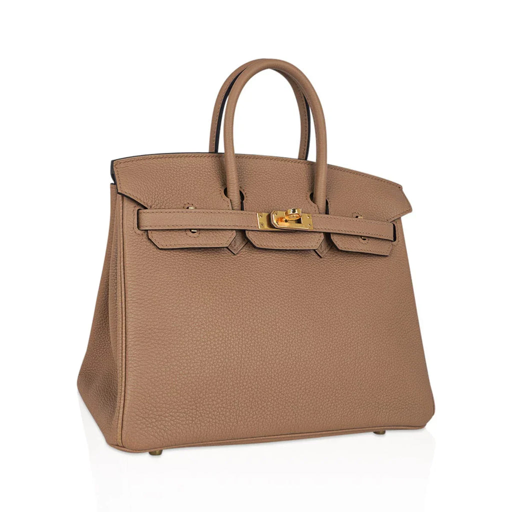 Birkin 25 Bag in Chai Togo Leather with Gold Hardware