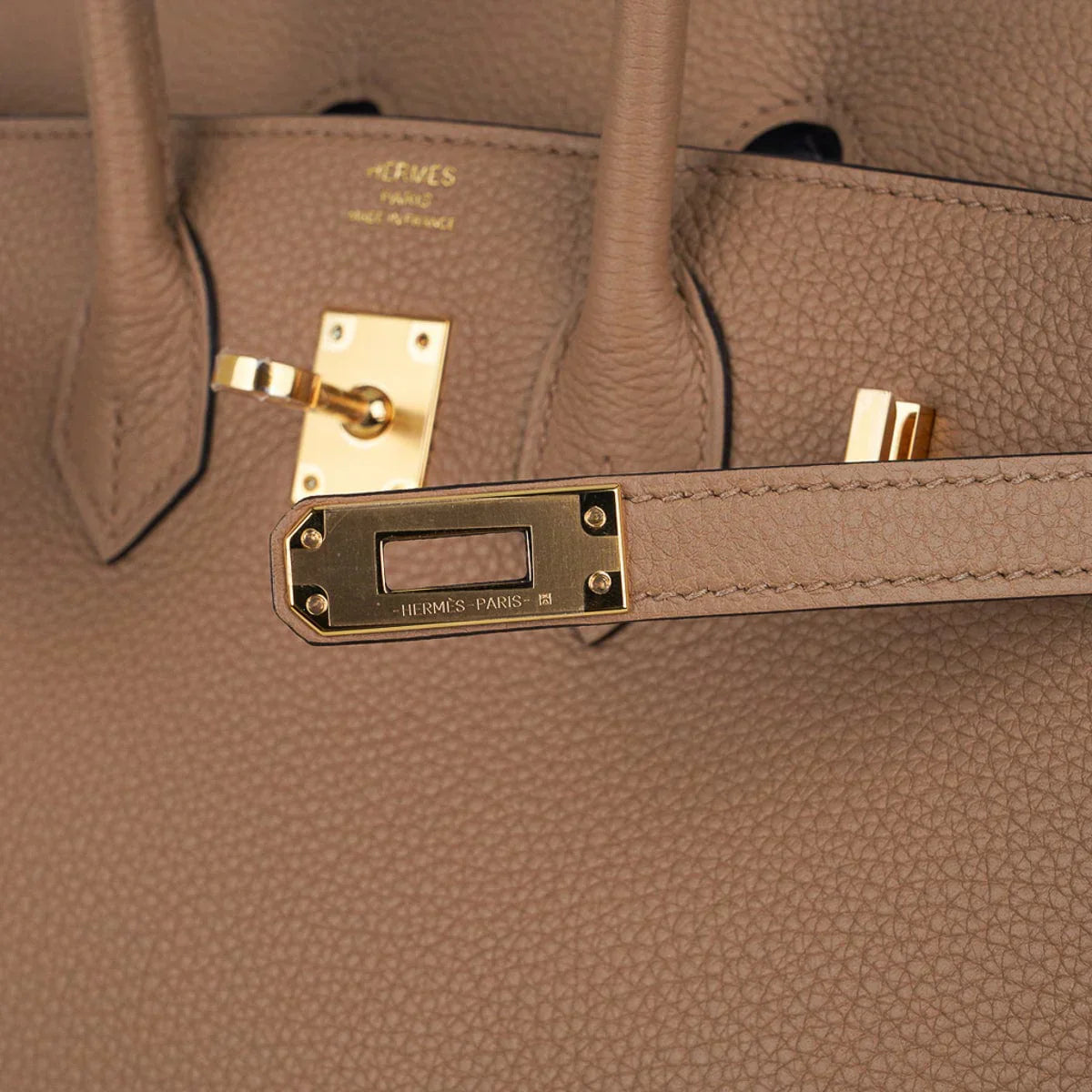 Birkin 25 Bag in Chai Togo Leather with Gold Hardware